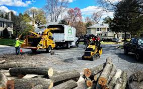 Best Arborist Consultation Services  in Villa Hills, KY